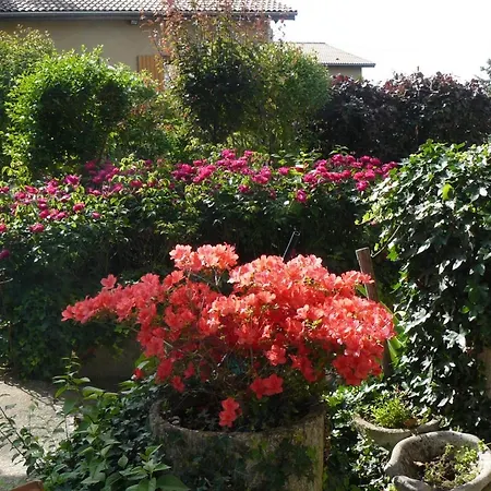 Au The A La Menthe Romans-sur-Isere