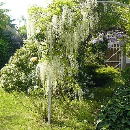 Bed & Breakfast Au The A La Menthe
